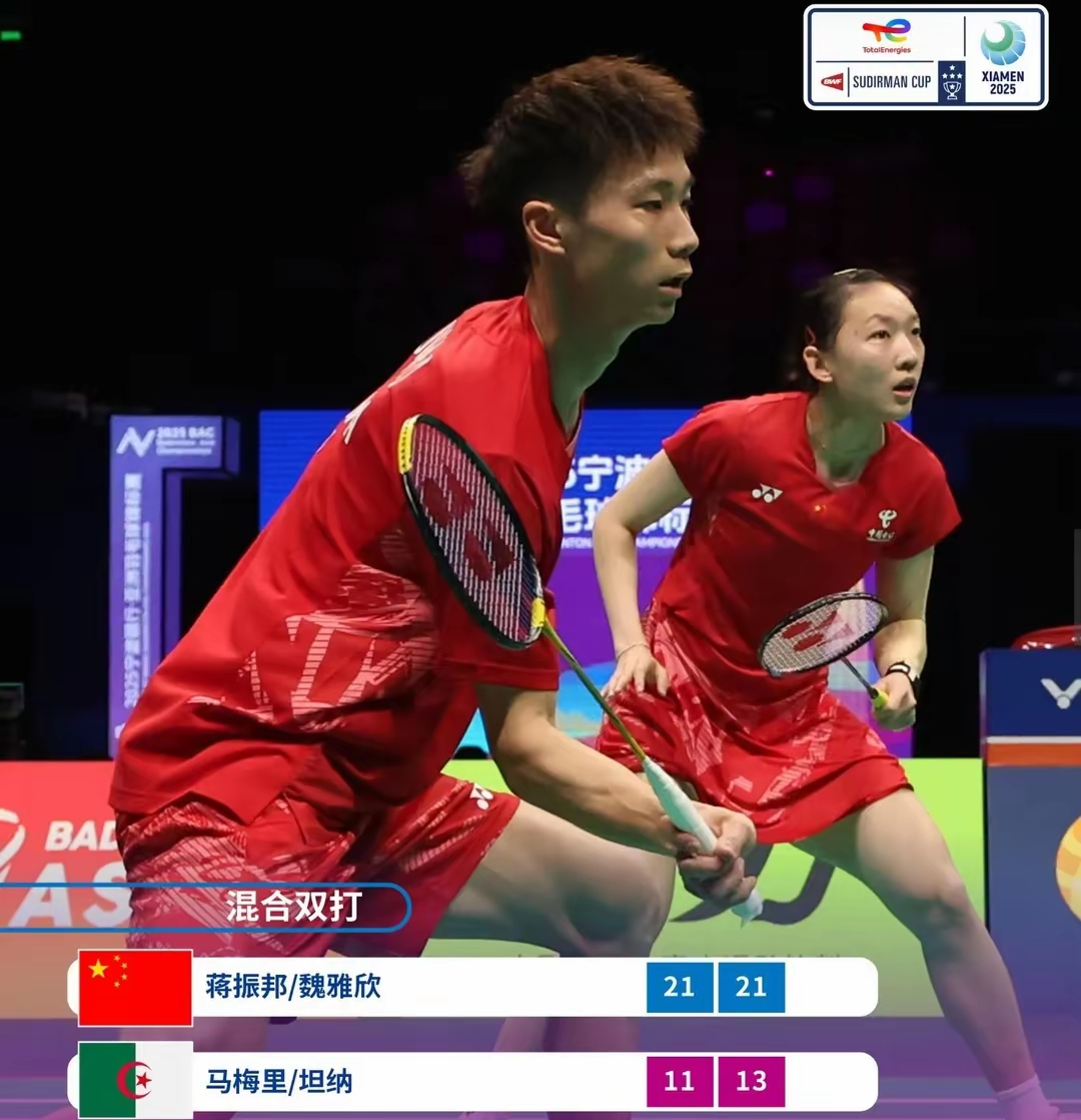 中国羽毛球队血洗丹麦羽毛球队，马琳关键制胜的简单介绍